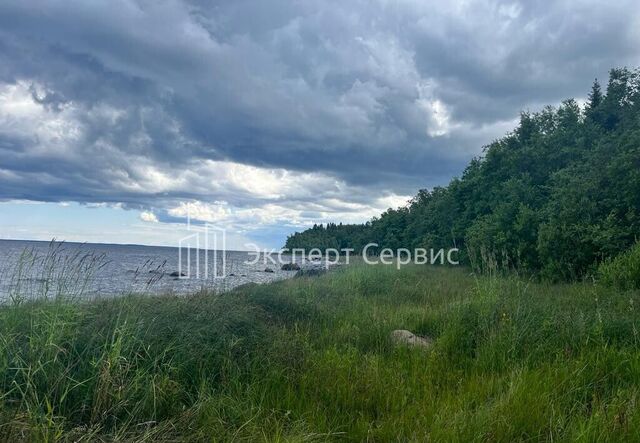 г Приозерск Трасса Сортавала, 9817 км, Ларионовское сельское поселение фото