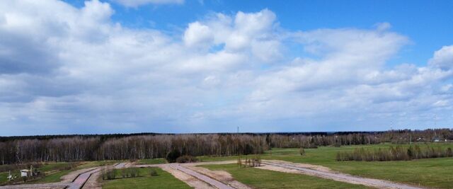 д Ириновка Рахьинское городское поселение фото