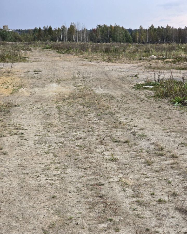 земля р-н Всеволожский д Скотное Приозерское шоссе, 9734 км, Агалатовское сельское поселение, Агалатово фото 2