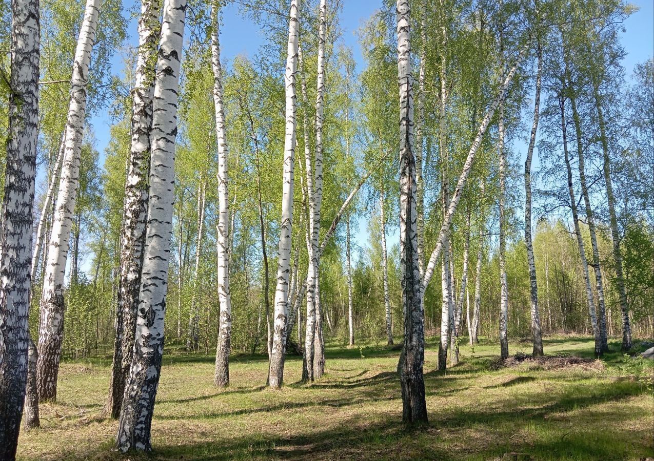 дом р-н Володарский с Мячково СПК Эврика, 111, Владимирская область, Гороховец, Володарский муниципальный округ фото 36