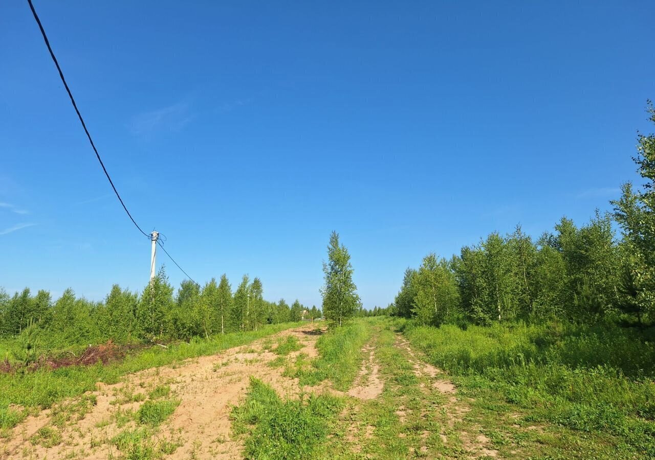 земля р-н Богородский с Афанасьево ул Филипповка Богородск фото 4