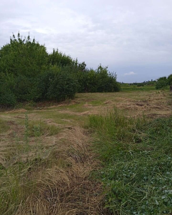 земля р-н Семилукский рп Латная ул Ленина Латненское городское поселение фото 1