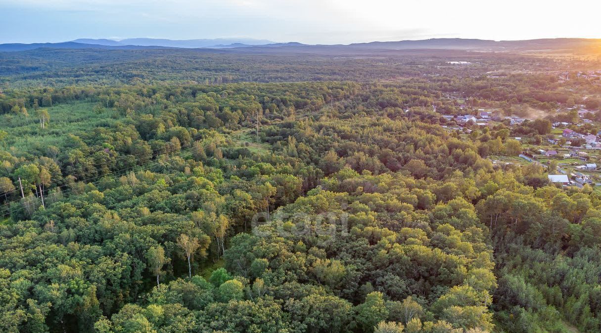 земля р-н Хабаровский с Некрасовка сельское поселение Село Некрасовка фото 6