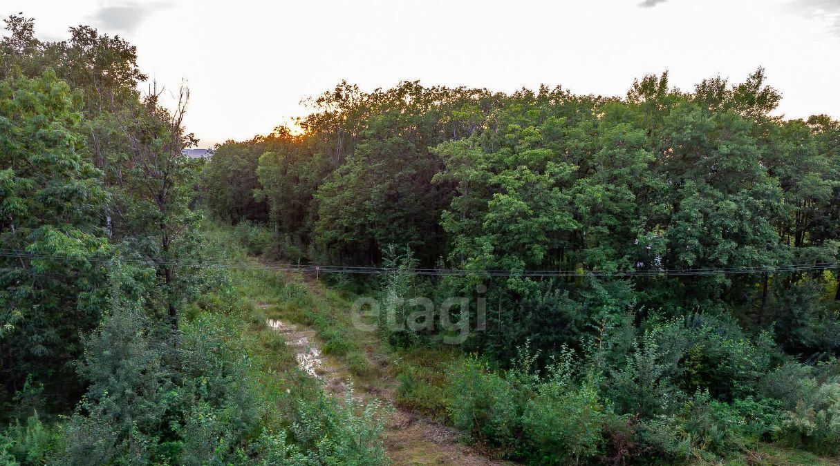 земля р-н Хабаровский с Некрасовка сельское поселение Село Некрасовка фото 13