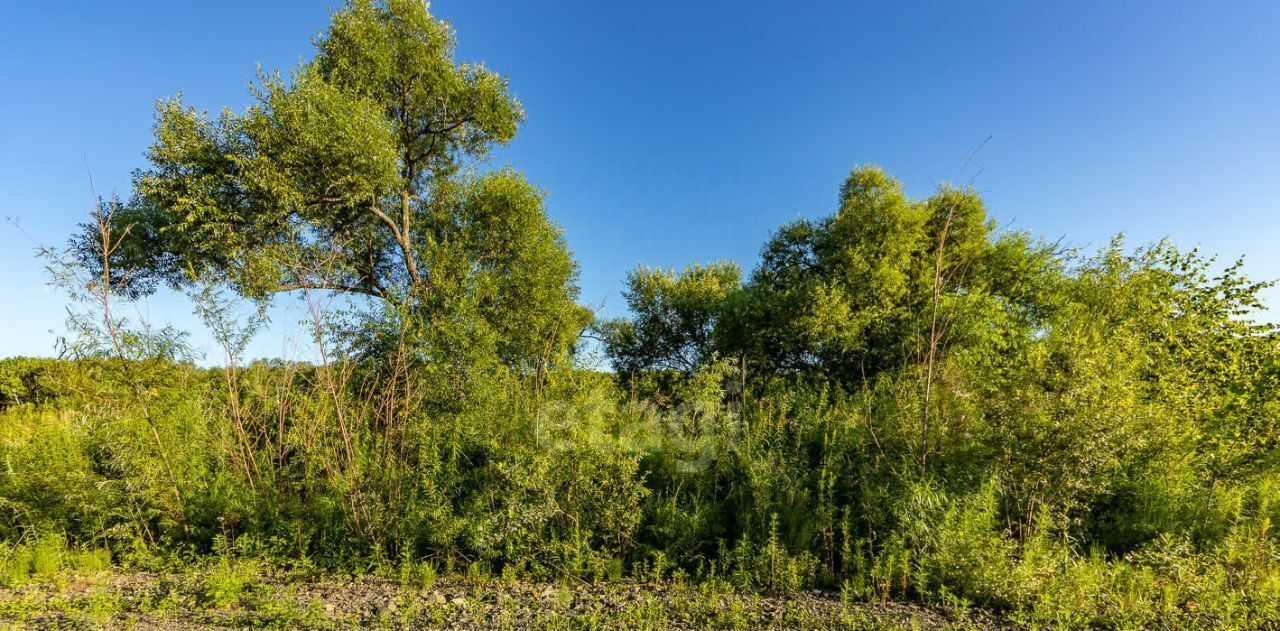 земля р-н Хабаровский с Некрасовка сельское поселение Село Некрасовка фото 6