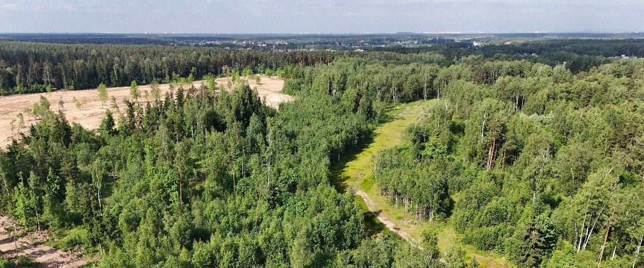 земля городской округ Богородский г Ногинск снт Электроугли ул Центральная Железнодорожная фото 2