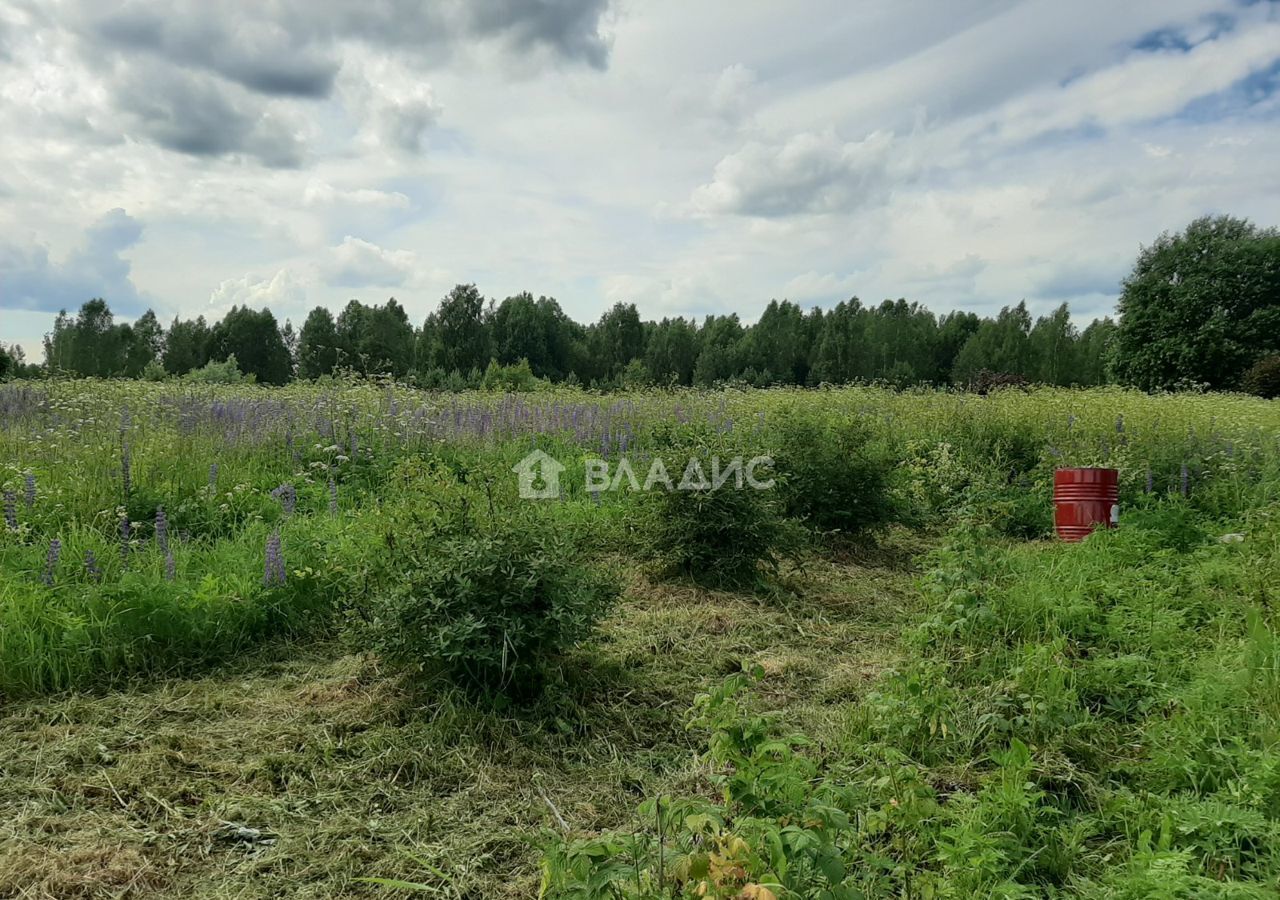 земля р-н Судогодский д Климовская муниципальное образование Головинское, мкр-н Мирное, Головино фото 17