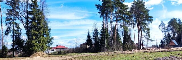 городской округ Богородский г Электроугли мкр Светлый Железнодорожная фото