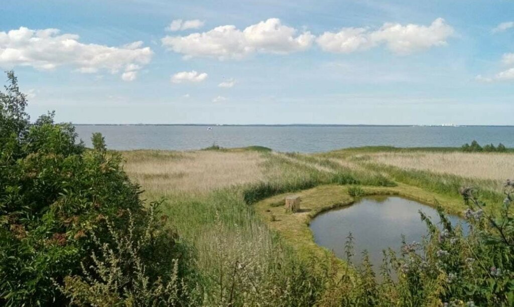 дом р-н Гурьевский п Ушаково ул Победы Новомосковское сельское поселение фото 5