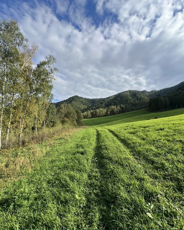 земля р-н Чемальский с Уожан ул Заречная Онгудай фото 2