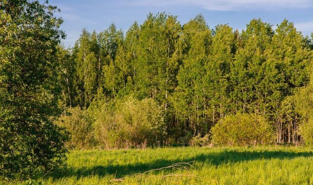 земля д Таганьково 9743 км, коттеджный пос. Николино, Горки-10, Рублёво-Успенское шоссе фото