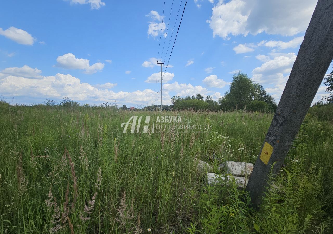 земля городской округ Богородский г Ногинск ул Ново-Богородская 37 км, Горьковское шоссе фото 3