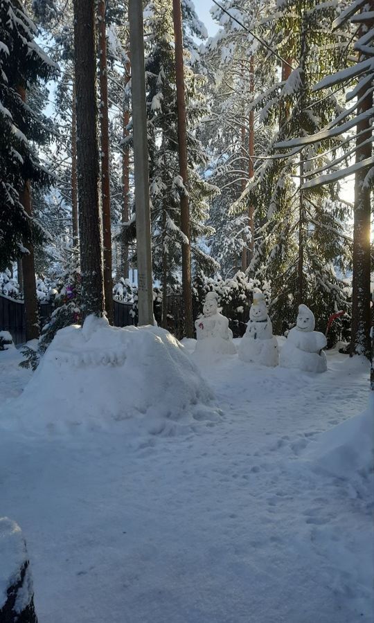 дом р-н Кадуйский д Круглое сельское поселение Семизерье, Кадуй фото 31