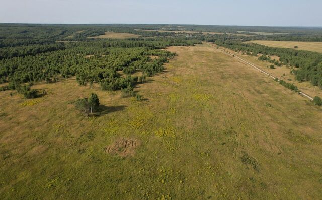 муниципальное образование, Новогуровский, Алексин фото