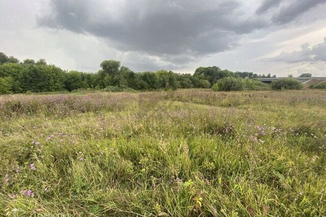 земля Республика Татарстан Татарстан, Богородское фото