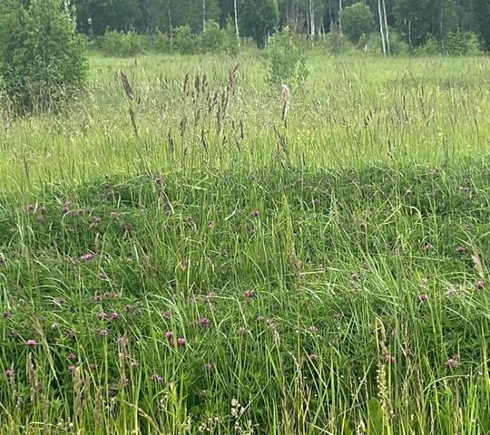 земля р-н Нерехтский г Нерехта ул Кутузова городское поселение Нерехта фото