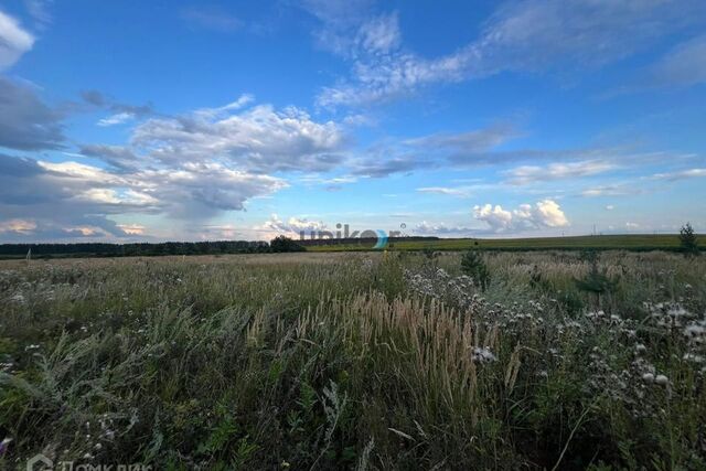 городское поселение Бирск фото