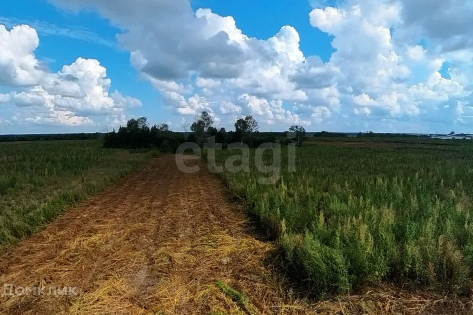 земля р-н Тюменский деревня Большие Акияры фото 1