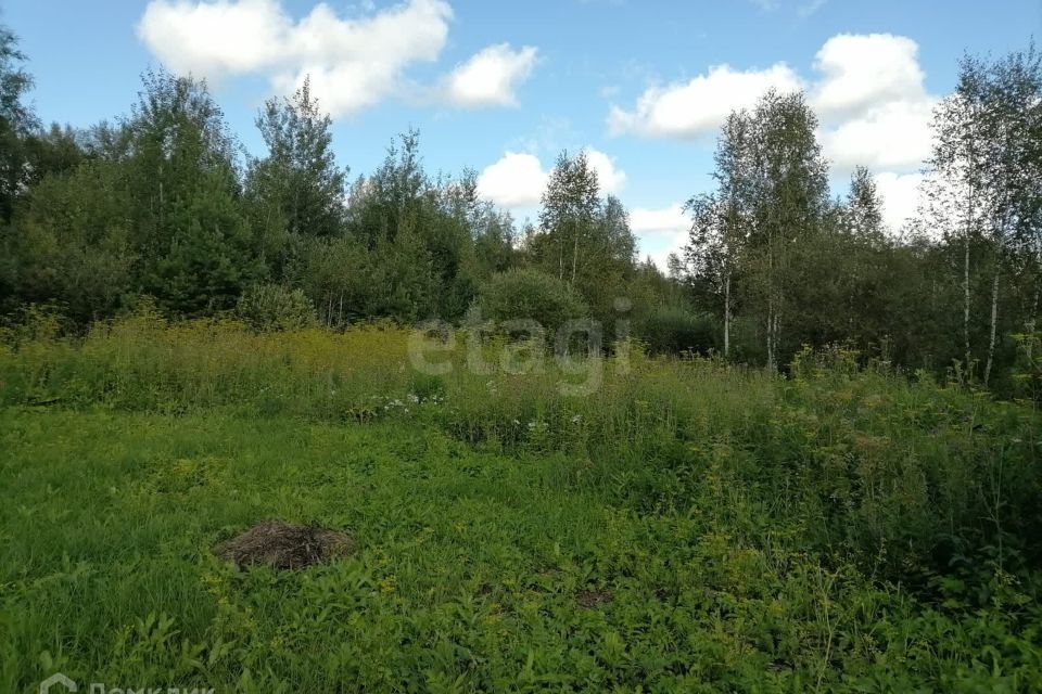 земля г Тюмень снт Самоцвет ул Центральная городской округ Тюмень фото 1