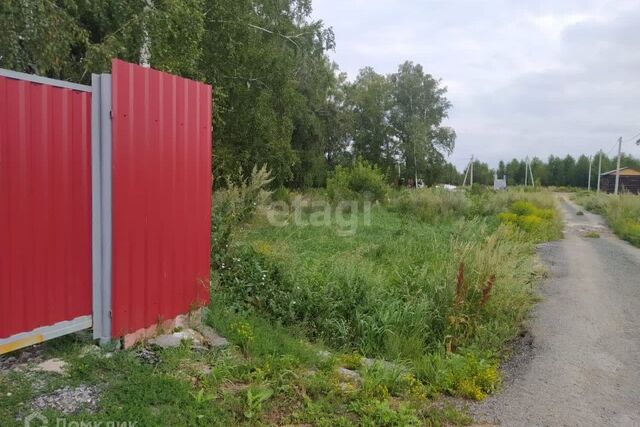 городской округ Бердск, Бердск фото