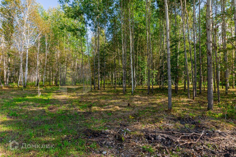 земля р-н Нижнетавдинский фото 4