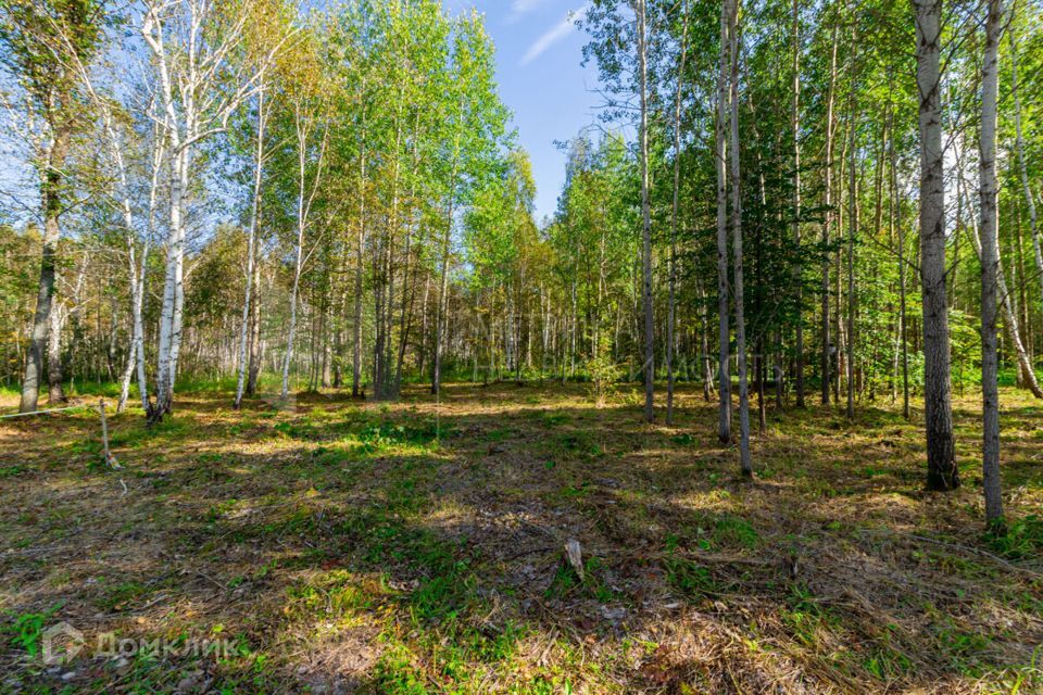 земля р-н Нижнетавдинский фото 3