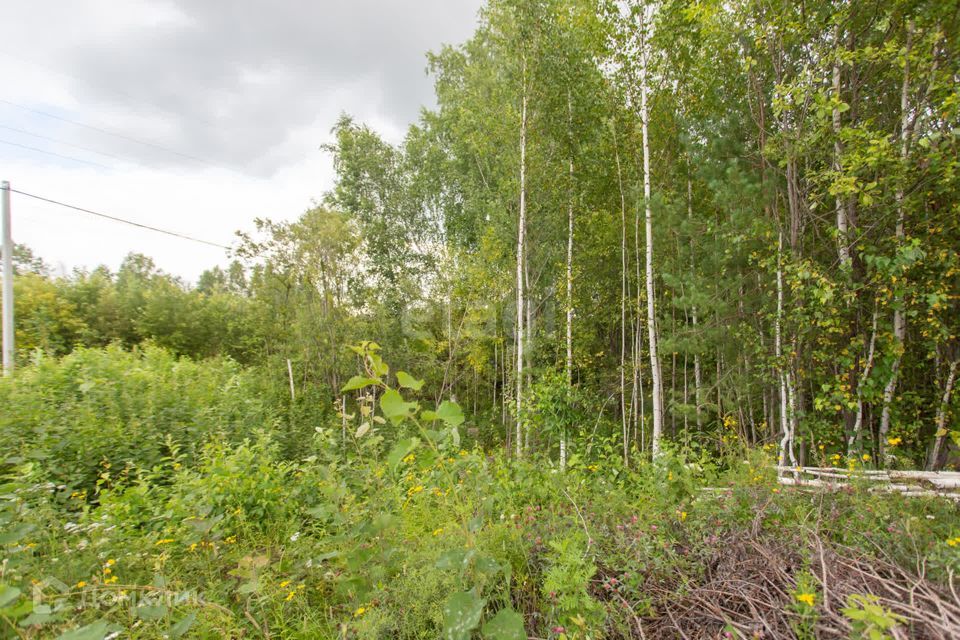 земля г Тобольск микрорайон Защитино, городской округ Тобольск фото 3