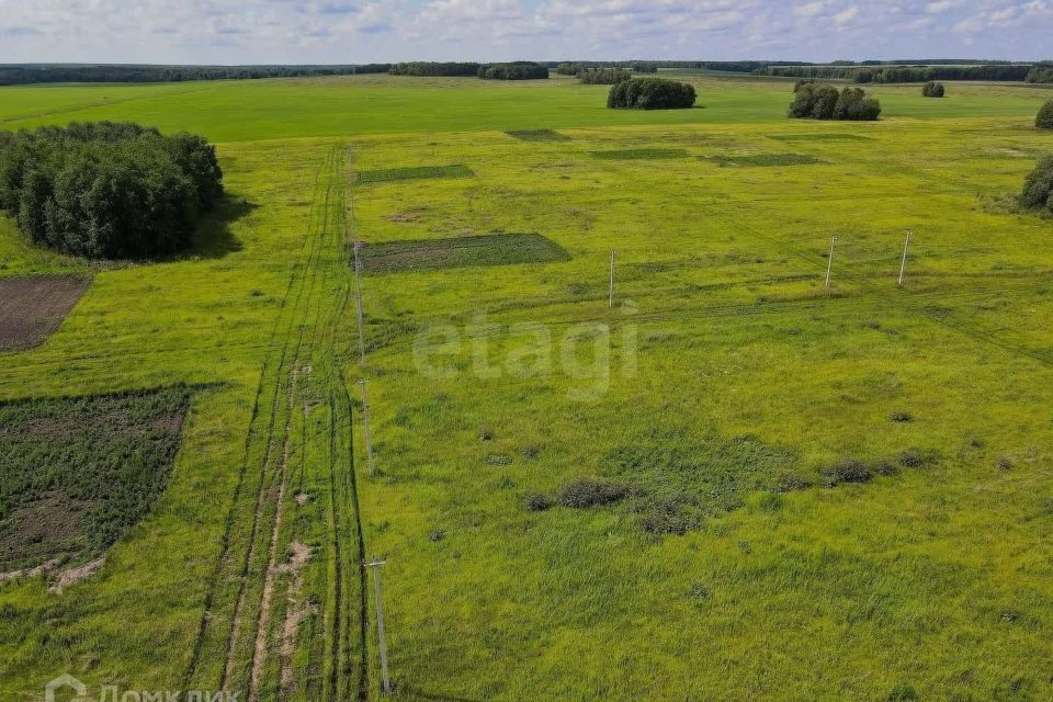 земля р-н Тюменский деревня Большие Акияры фото 3