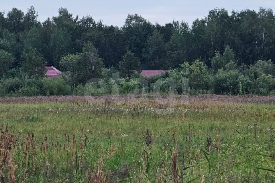 земля р-н Нижнетавдинский село Средние Тарманы фото 3