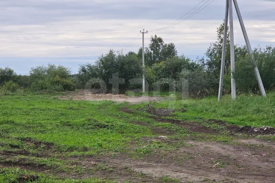 земля р-н Нижнетавдинский село Средние Тарманы фото 3