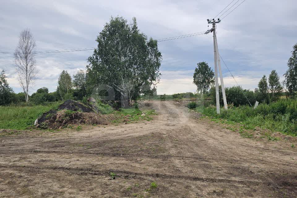 земля р-н Нижнетавдинский с Средние Тарманы ул Школьная фото 3