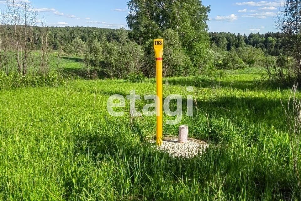 земля р-н Кольчугинский село Давыдовское фото 4