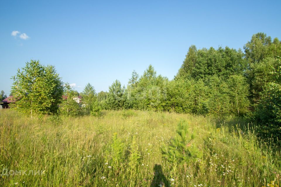 земля р-н Томский село Корнилово фото 4