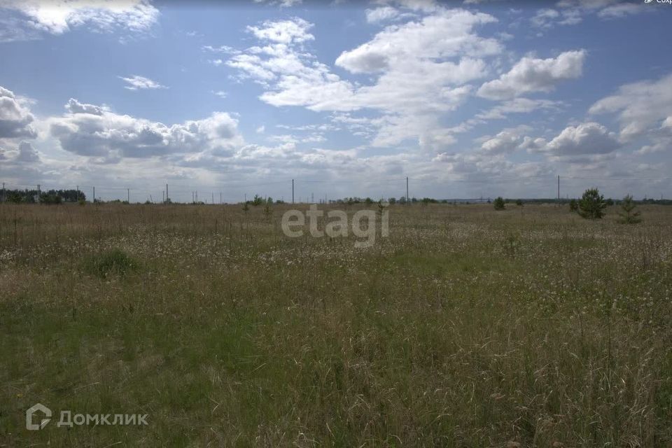 земля р-н Заинский Республика Татарстан Татарстан фото 3