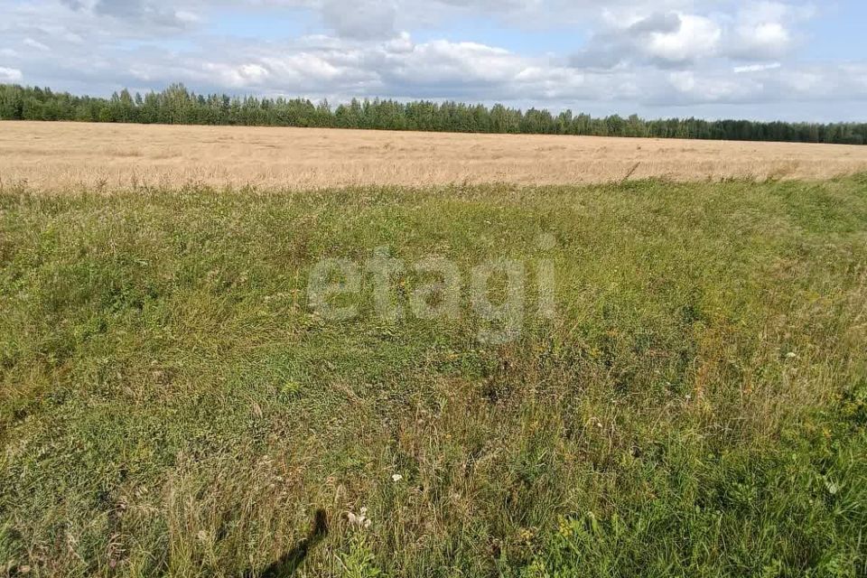 земля р-н Алапаевский п Верхняя Синячиха ул Красной Гвардии Алапаевское, муниципальное образование фото 4