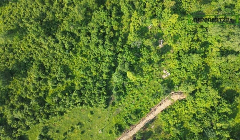 земля Артёмовский городской округ, село Ясное фото 3