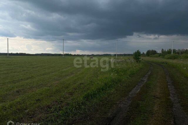 земля деревня Ермолина фото