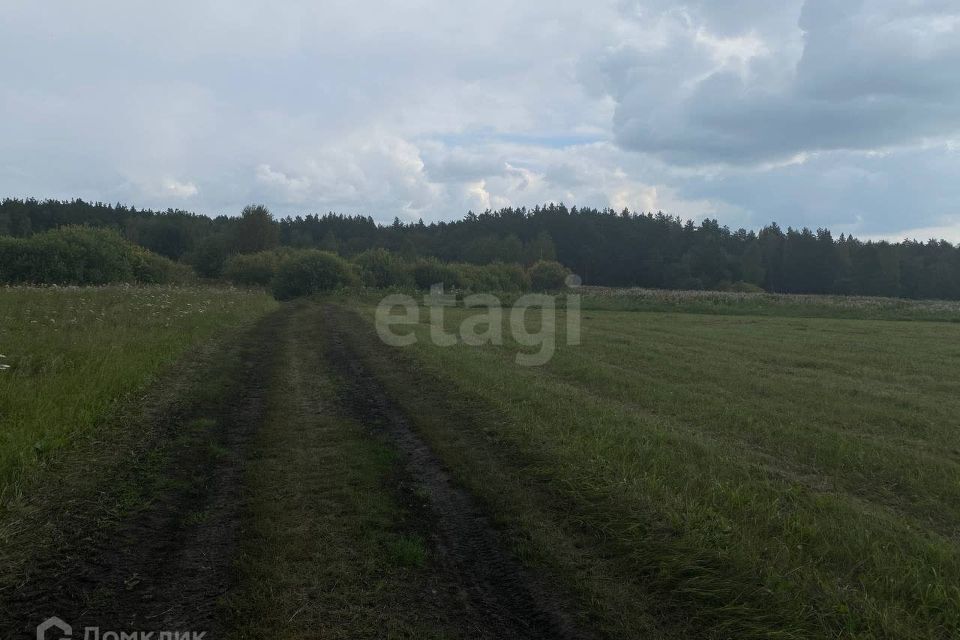 земля р-н Слободо-Туринский деревня Ермолина фото 1