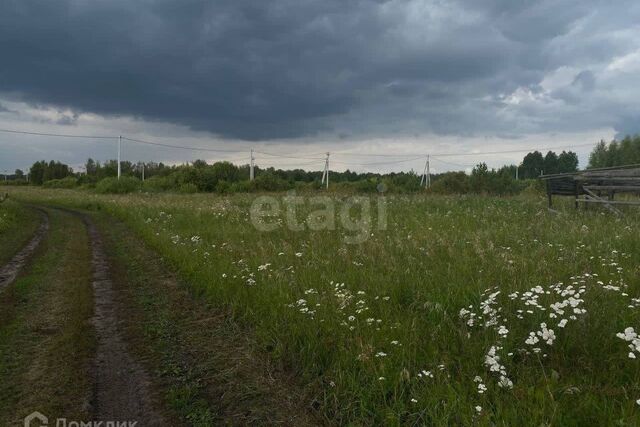 земля деревня Ермолина фото