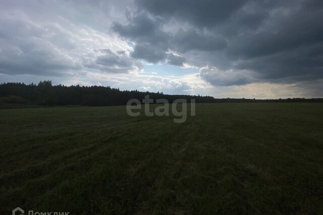 земля деревня Ермолина фото