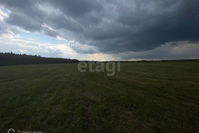 деревня Ермолина фото