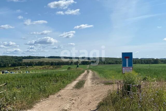 земля с Бунырево муниципальное образование Алексин, ДНП Ока Лесная фото