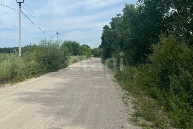 земля р-н Благовещенский село Кантон-Коммуна фото