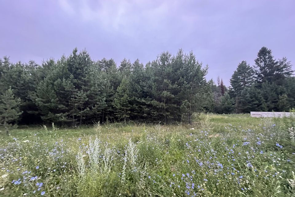 земля р-н Завьяловский д Каменное б-р Чистопрудный фото 3