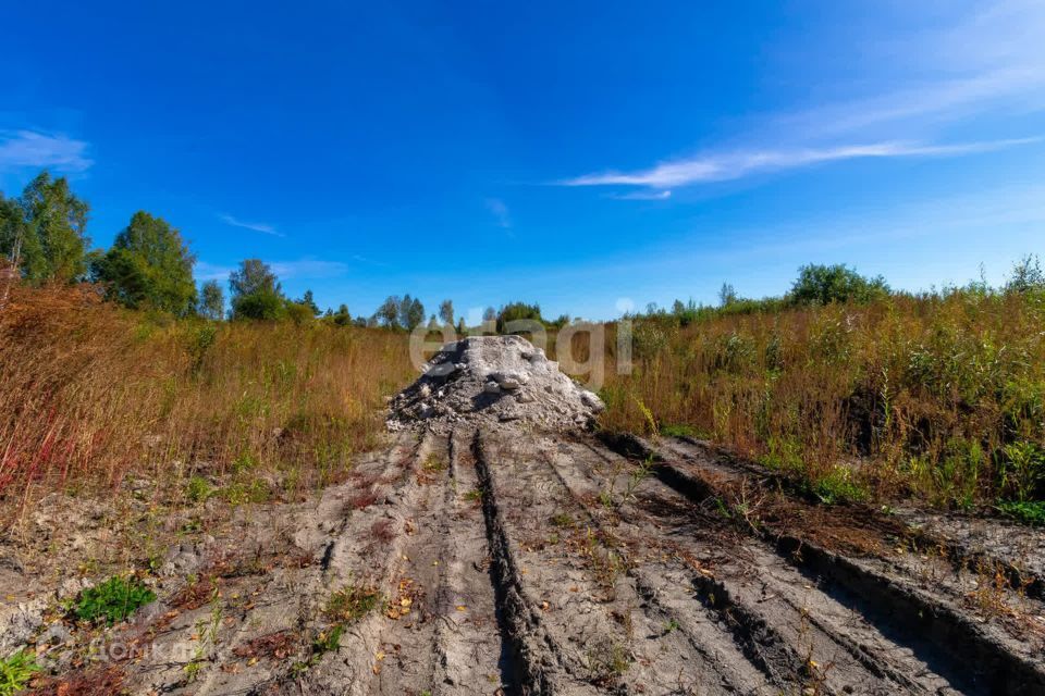 земля р-н Нижнетавдинский п Кунчур ул Зеленая фото 4