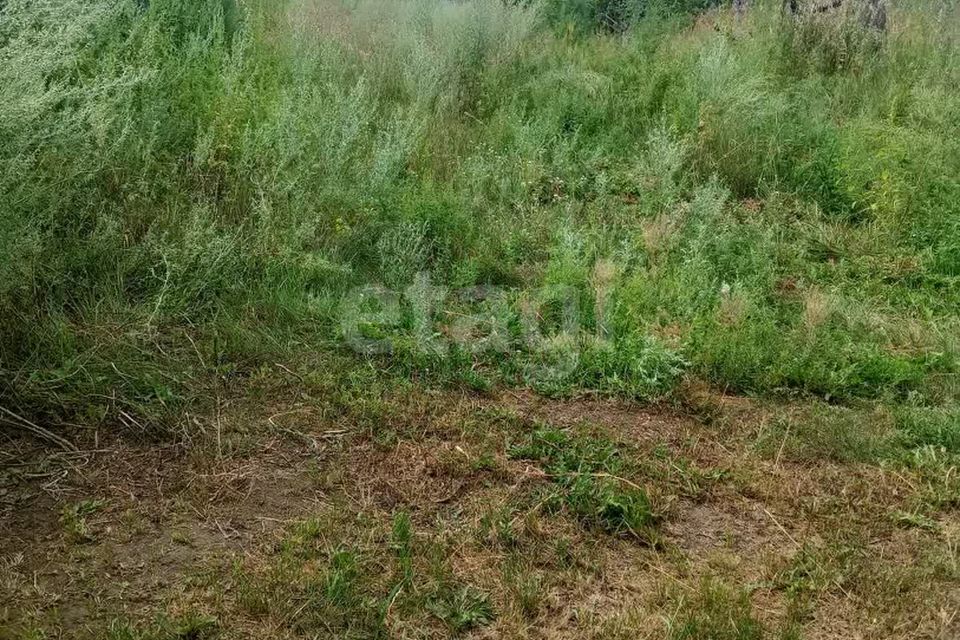 земля городской округ Абакан, СОСН Колягинские Холмы - Колягино-3, улица Белая Сирень фото 2