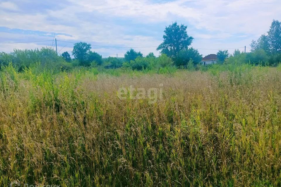 земля городской округ Абакан, СОСН Колягинские Холмы - Колягино-3, улица Белая Сирень фото 4