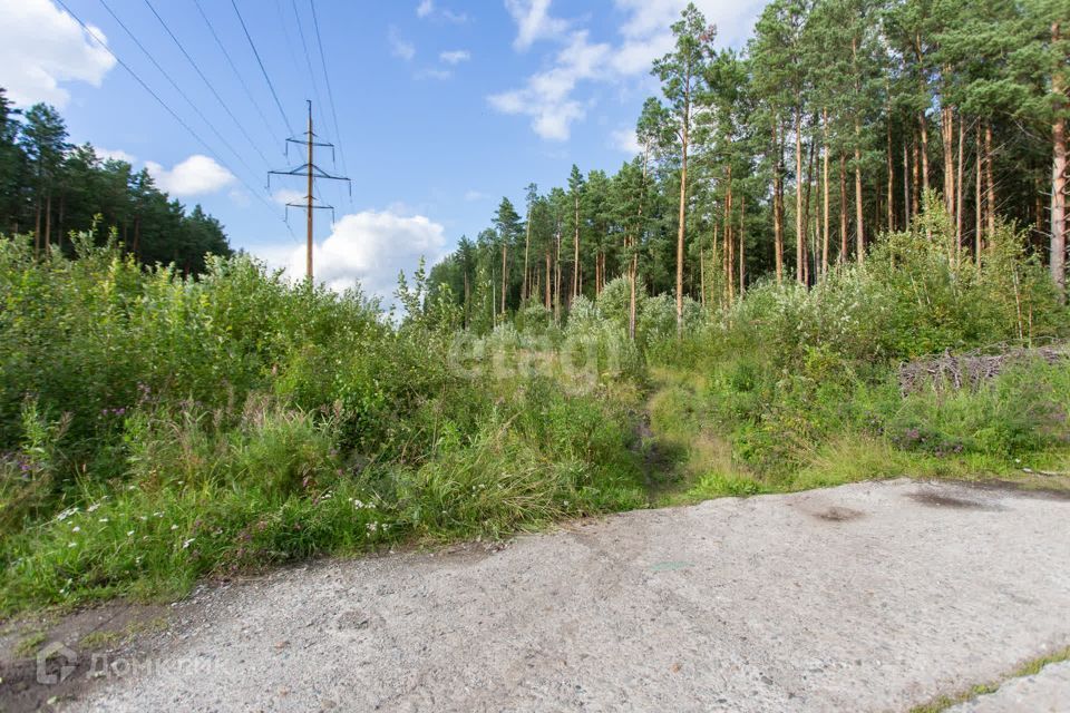 земля г Тобольск Центральная улица, городской округ Тобольск фото 3