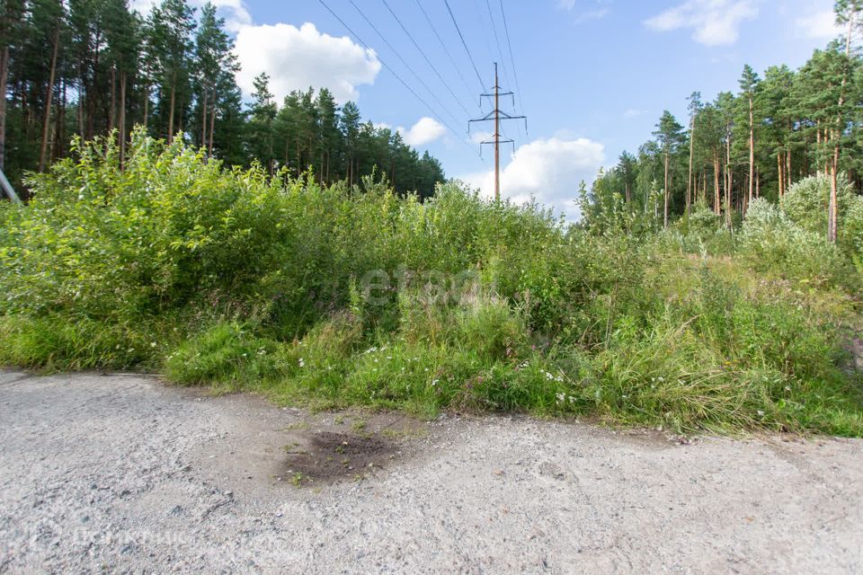 земля г Тобольск Центральная улица, городской округ Тобольск фото 2