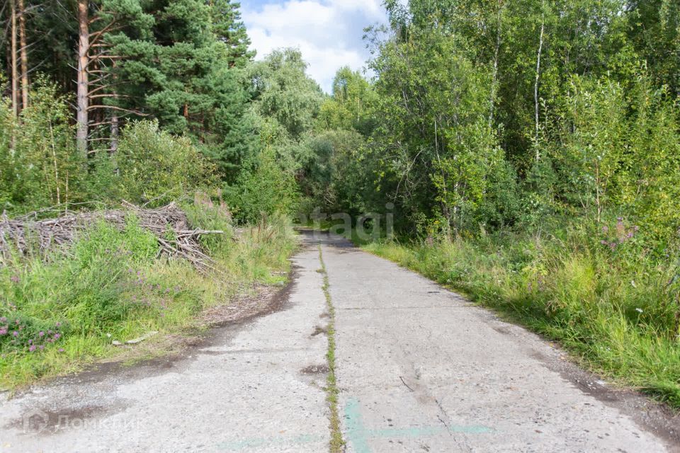 земля г Тобольск Центральная улица, городской округ Тобольск фото 4